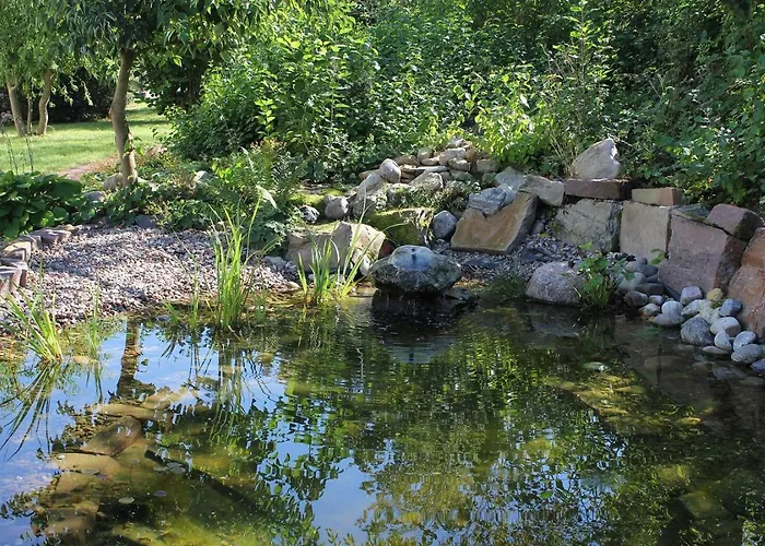 Hotel Waldhotel Schaeferberg